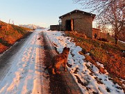 67 Birba mi segue ...il padrone la richiama